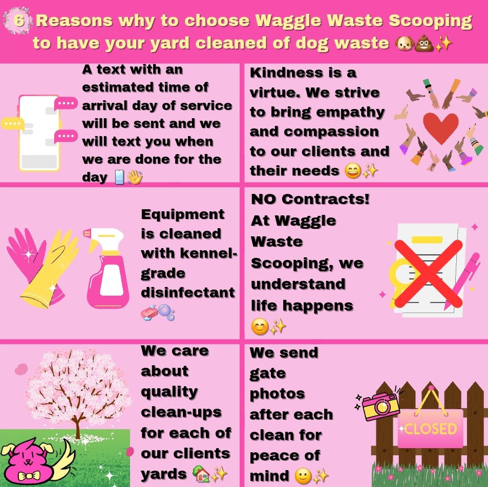 Waggle Waste Scooping - Photo 2