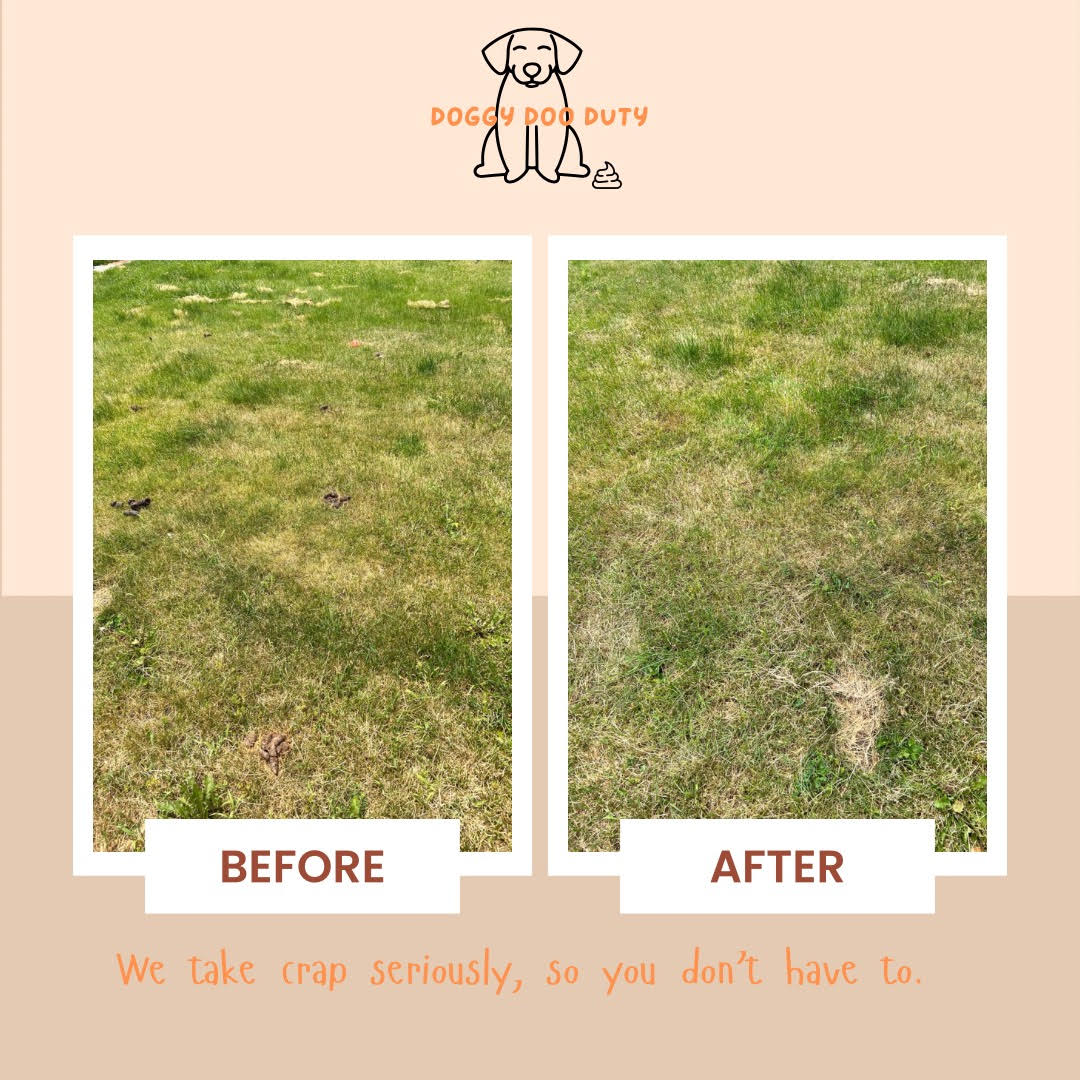 Doggy Doo Duty LLC - Photo 3