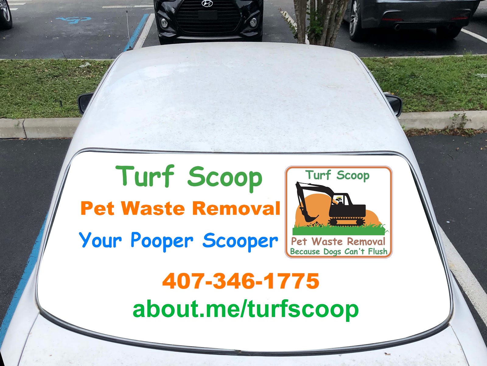Turf Scoop - Photo 3