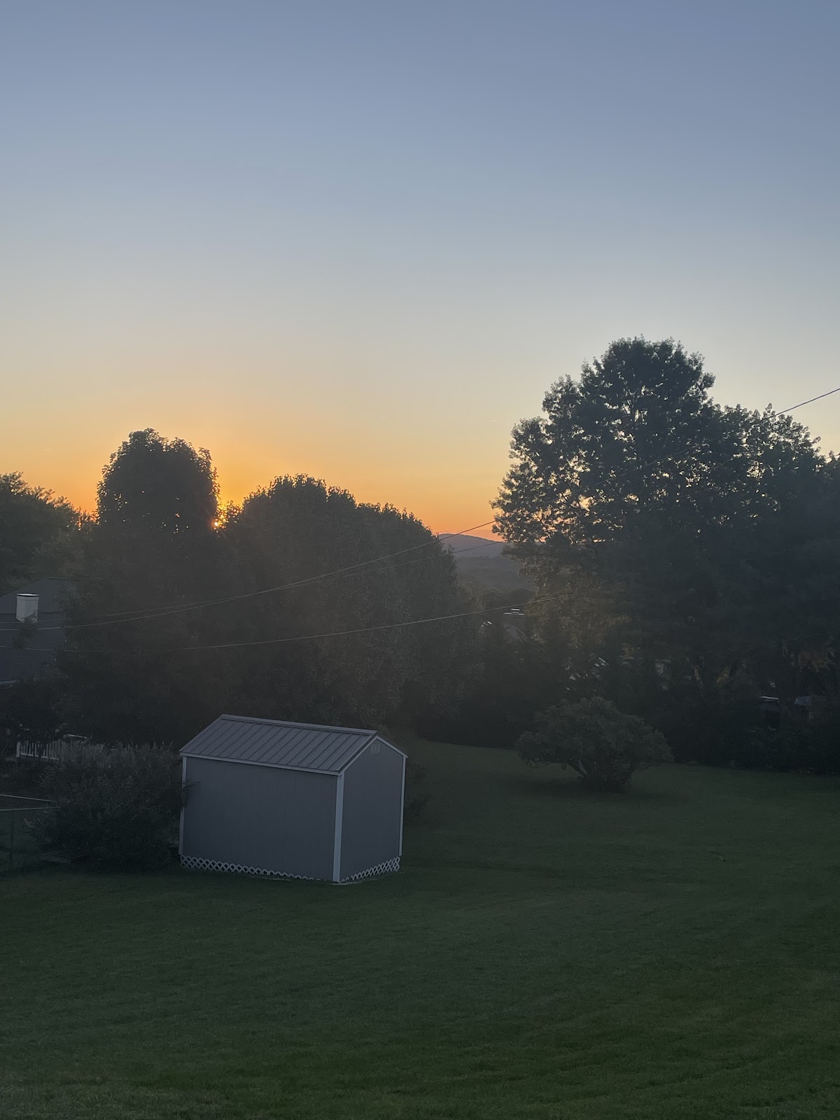 Star City Pet Pros - Photo 3