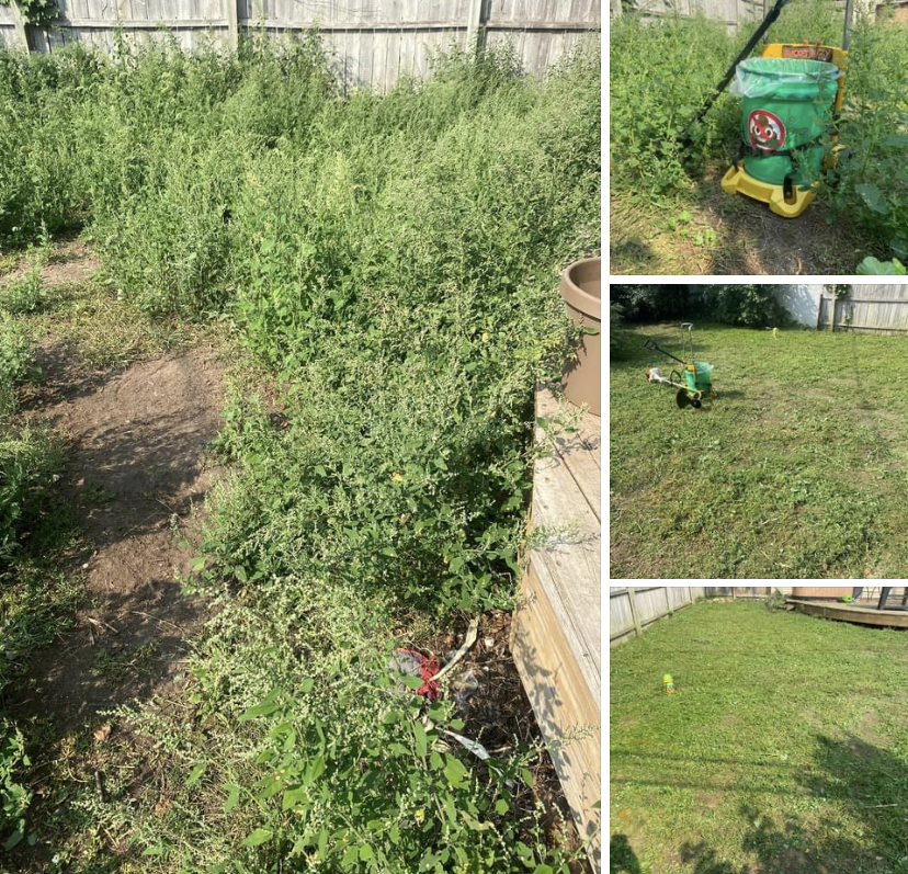 Turd Burglars Pet Waste Cleanup Service - Photo 4