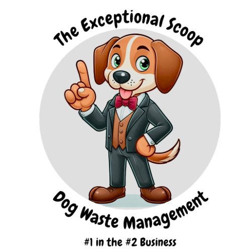 The Exceptional Scoop