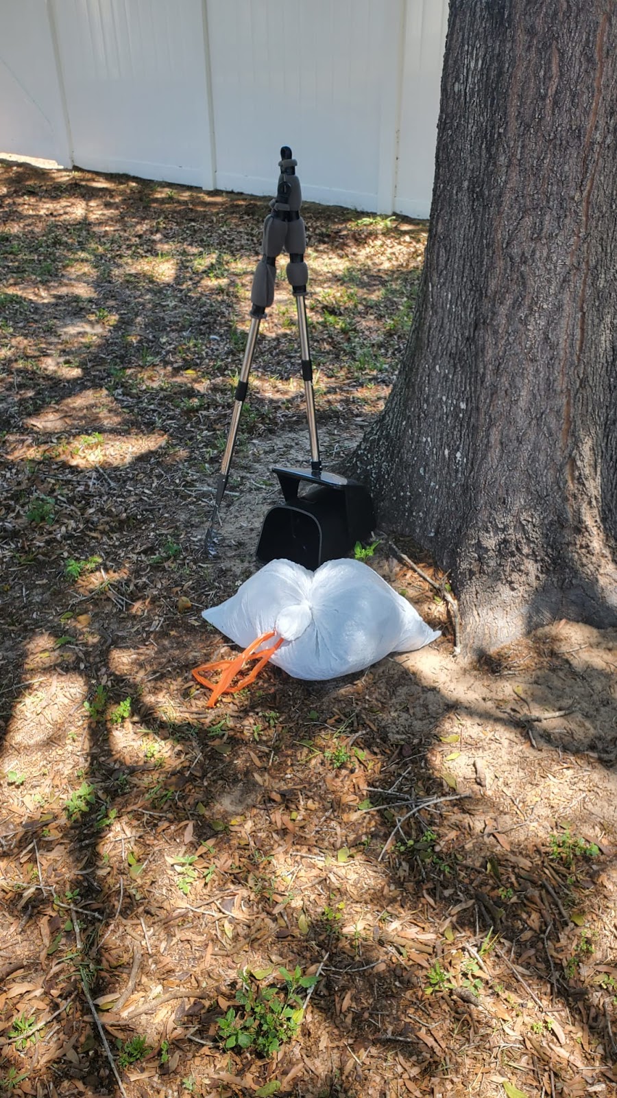 Scoop Doozy - Photo 3