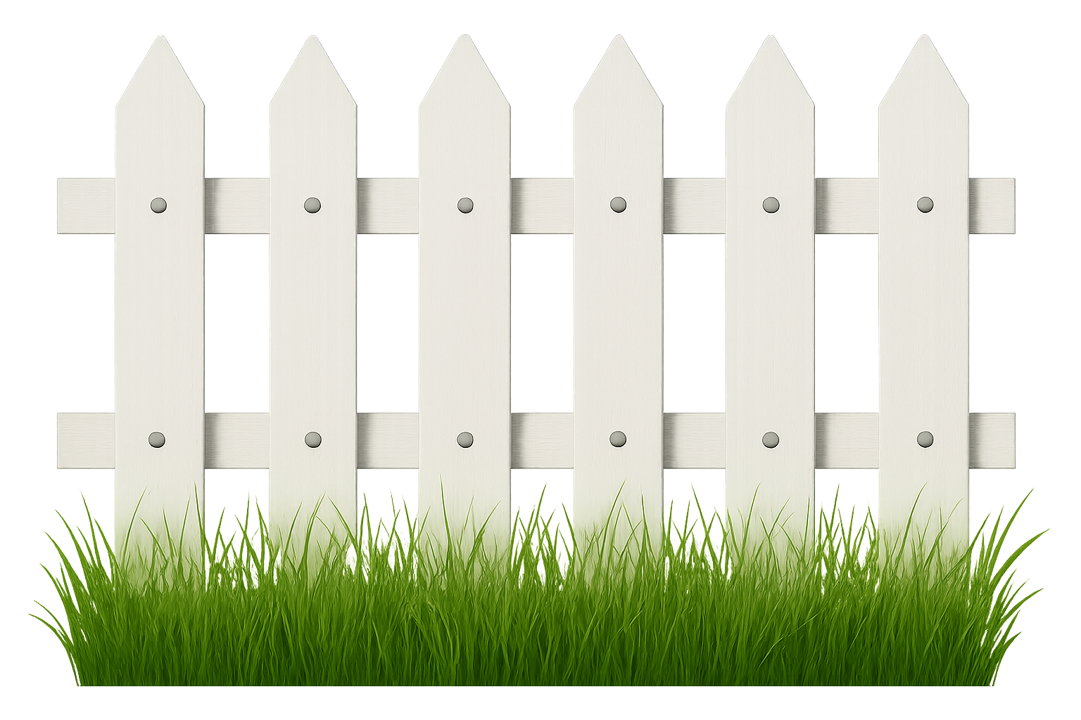 Scoop Doozy - Photo 4