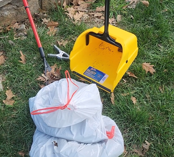 Fresh Paws - Photo 3