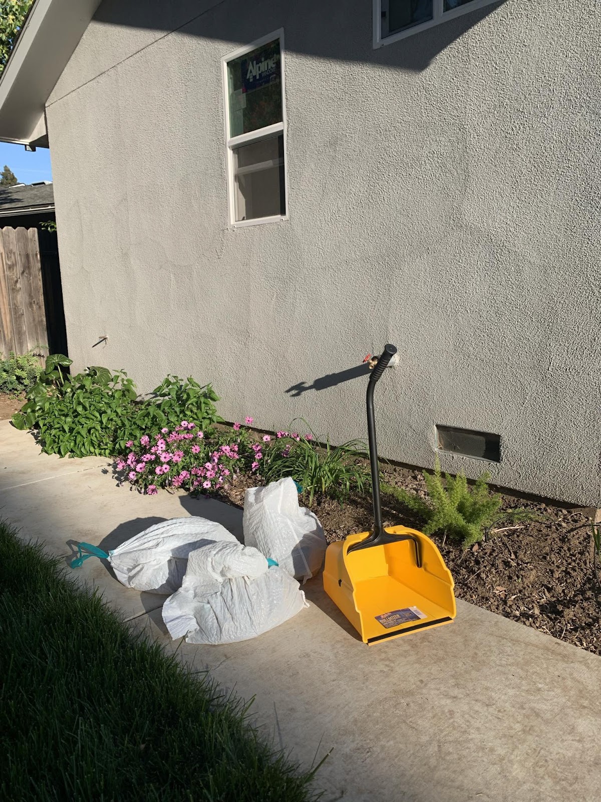 Ready Set Scoop - Photo 3