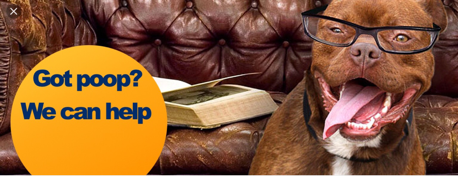 Lawn Poolice - Photo 2