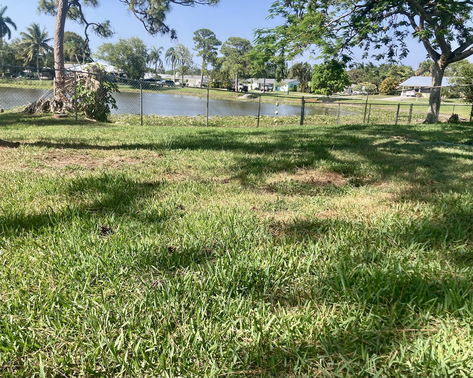 Bouse Pet Waste Removal