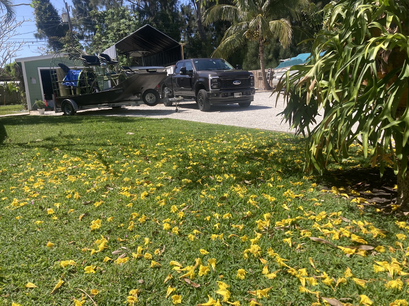 Bouse Pet Waste Removal - Photo 3