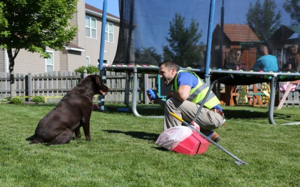 Scoopers Pet Waste Removal Service - Photo 4