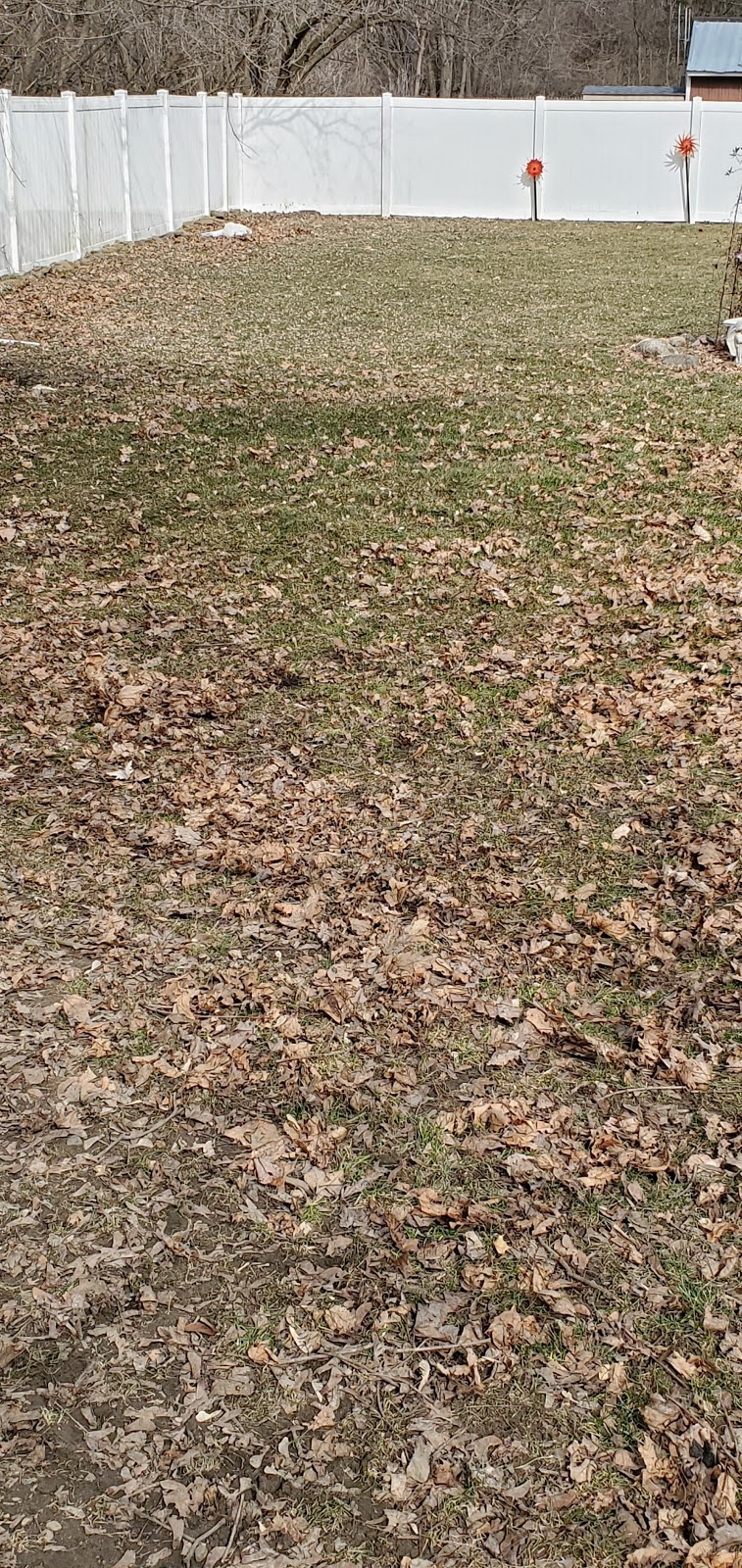 K9 Best Friend Pet Waste Removal - Photo 2