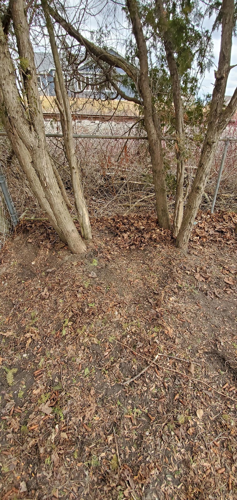 K9 Best Friend Pet Waste Removal - Photo 3