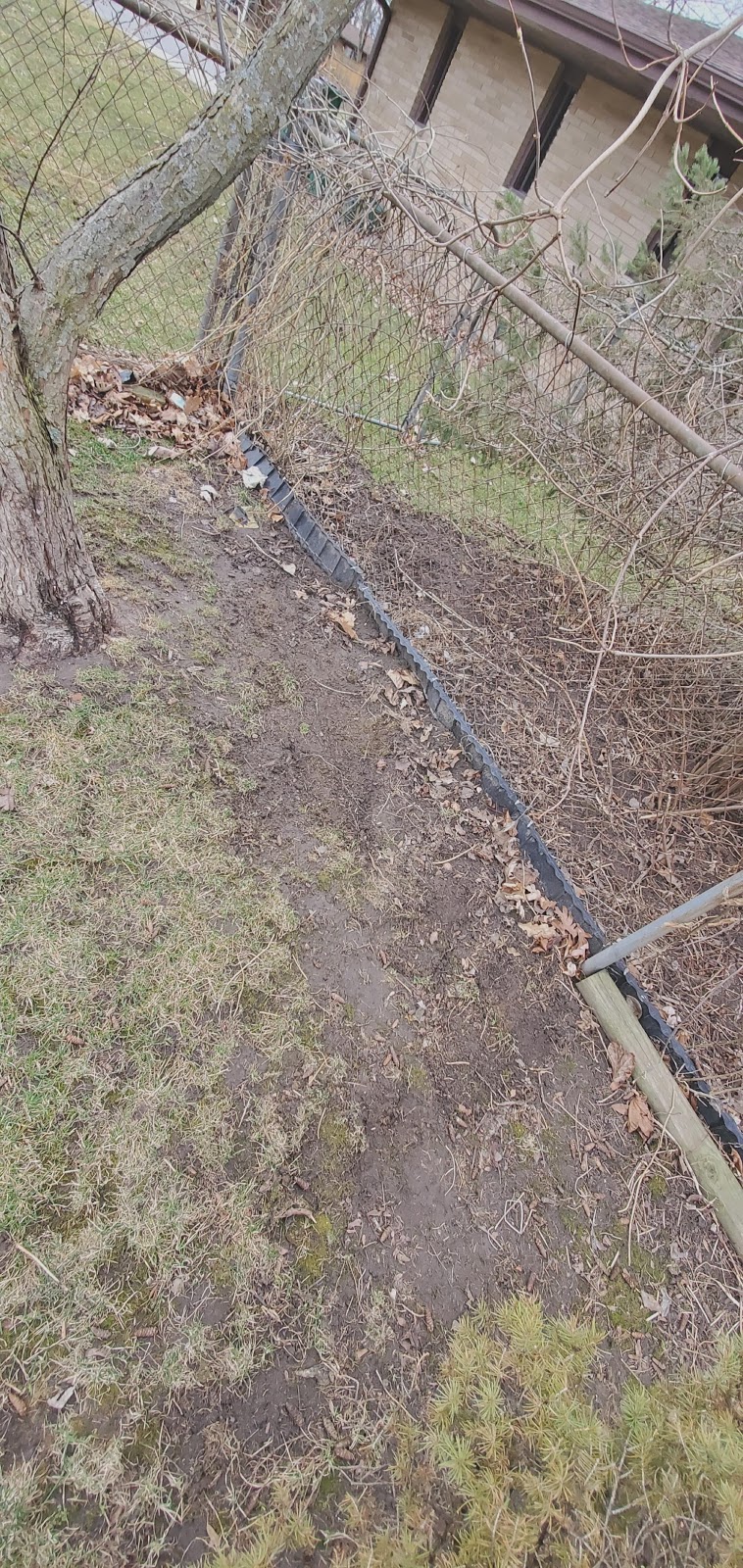 K9 Best Friend Pet Waste Removal - Photo 4