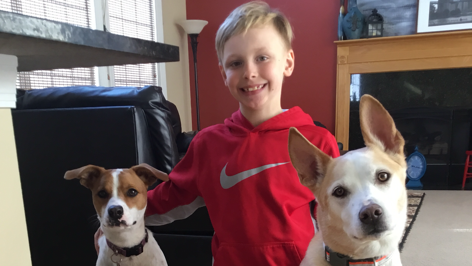 Ryden’s Dog Poop Clean Up