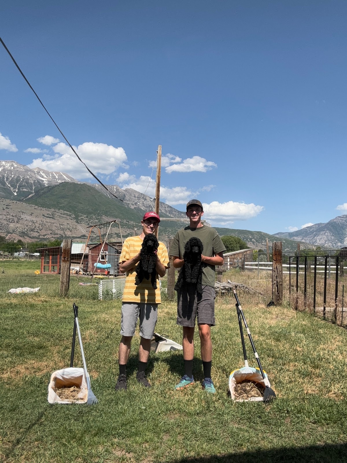 Spencer Scoops Dog Poop