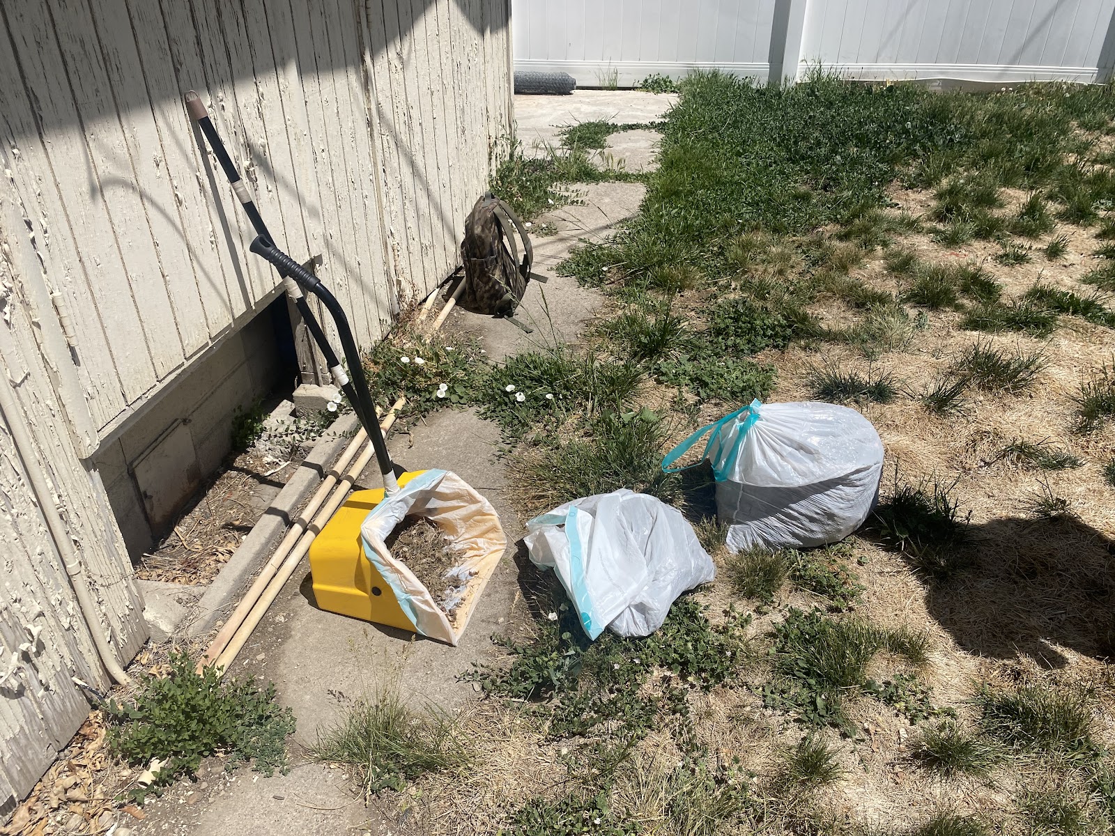 Spencer Scoops Dog Poop - Photo 2