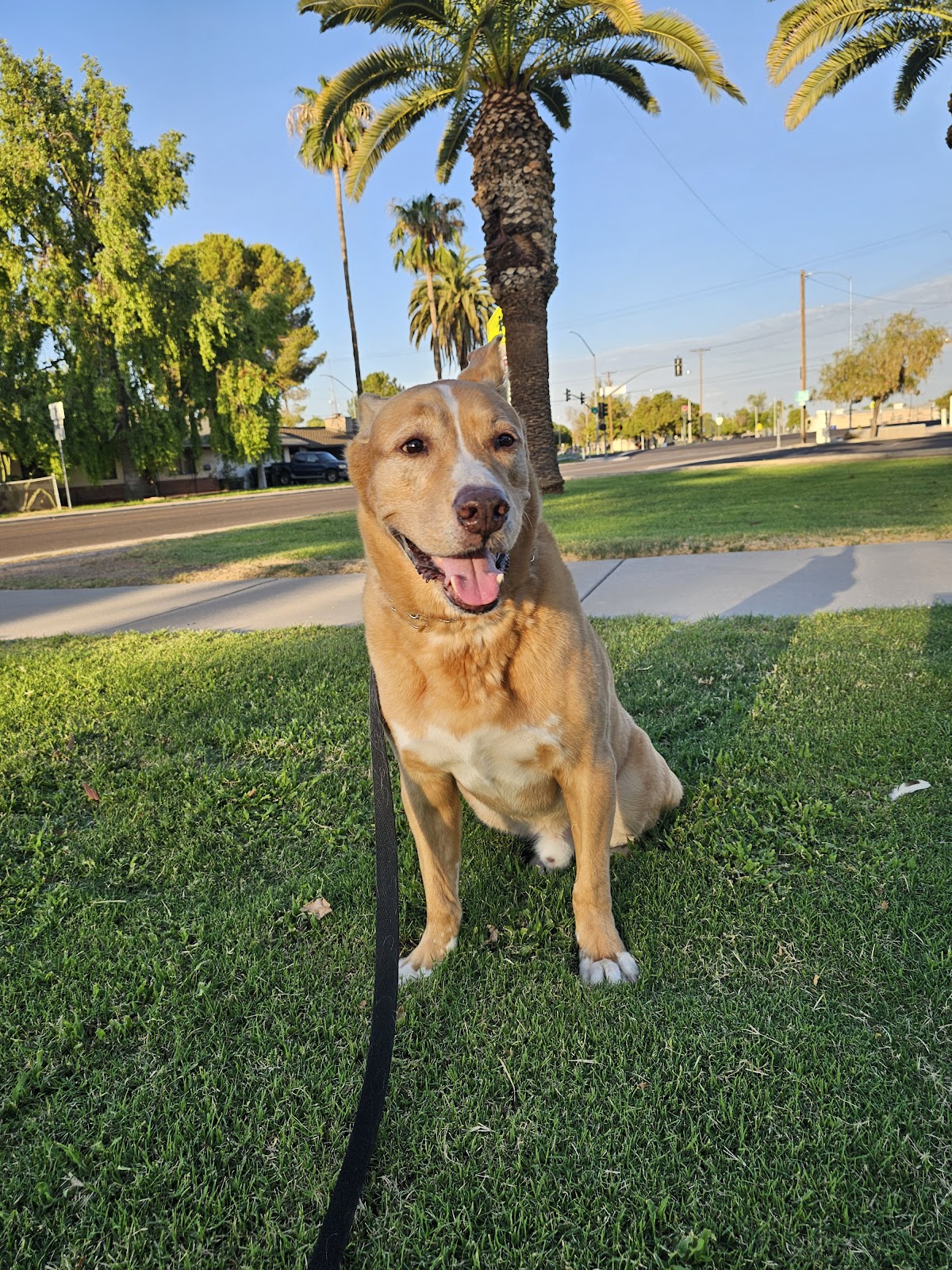 I HEART POOP PET POOP REMOVAL - Photo 2