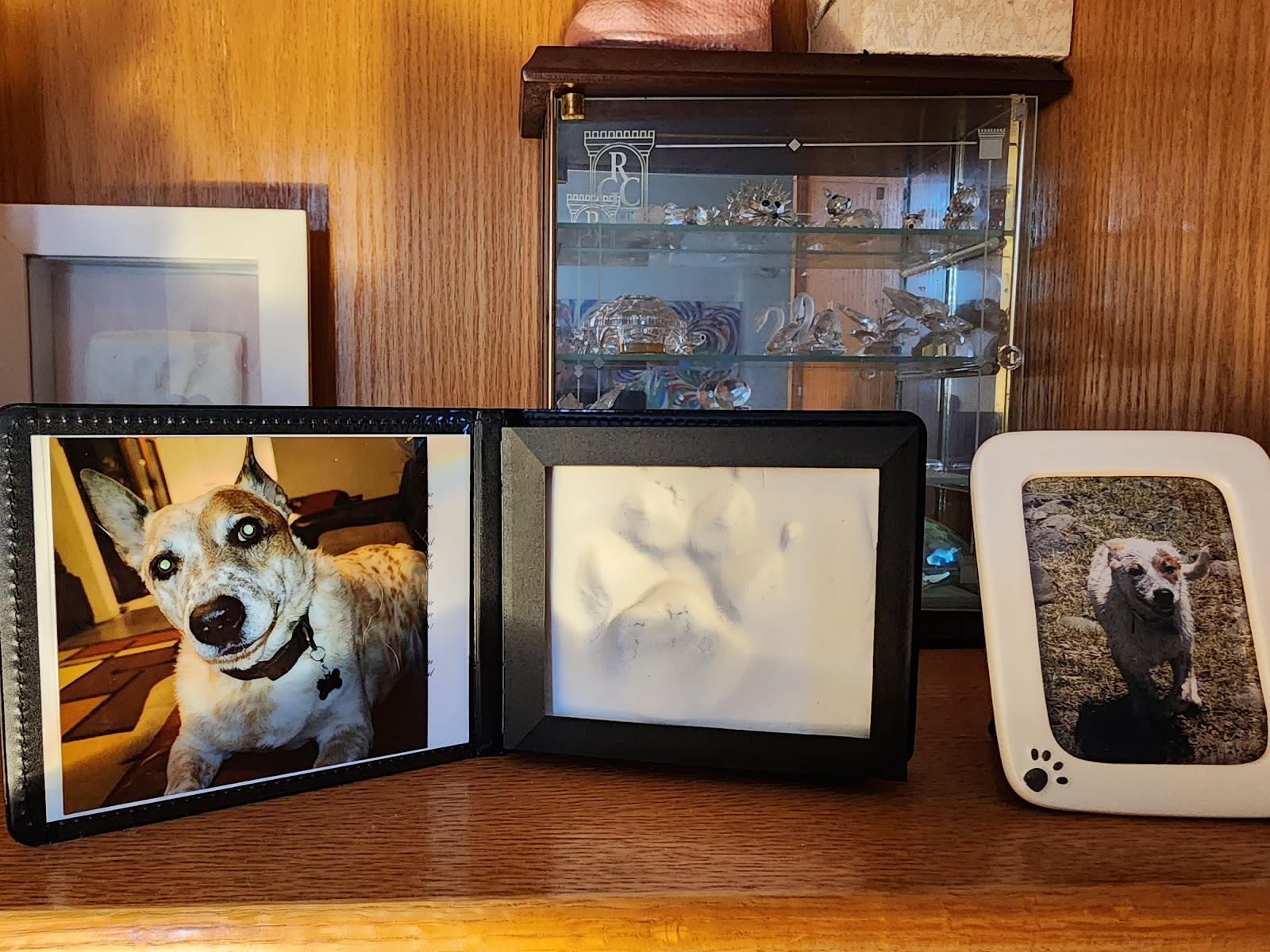 I HEART POOP PET POOP REMOVAL - Photo 3