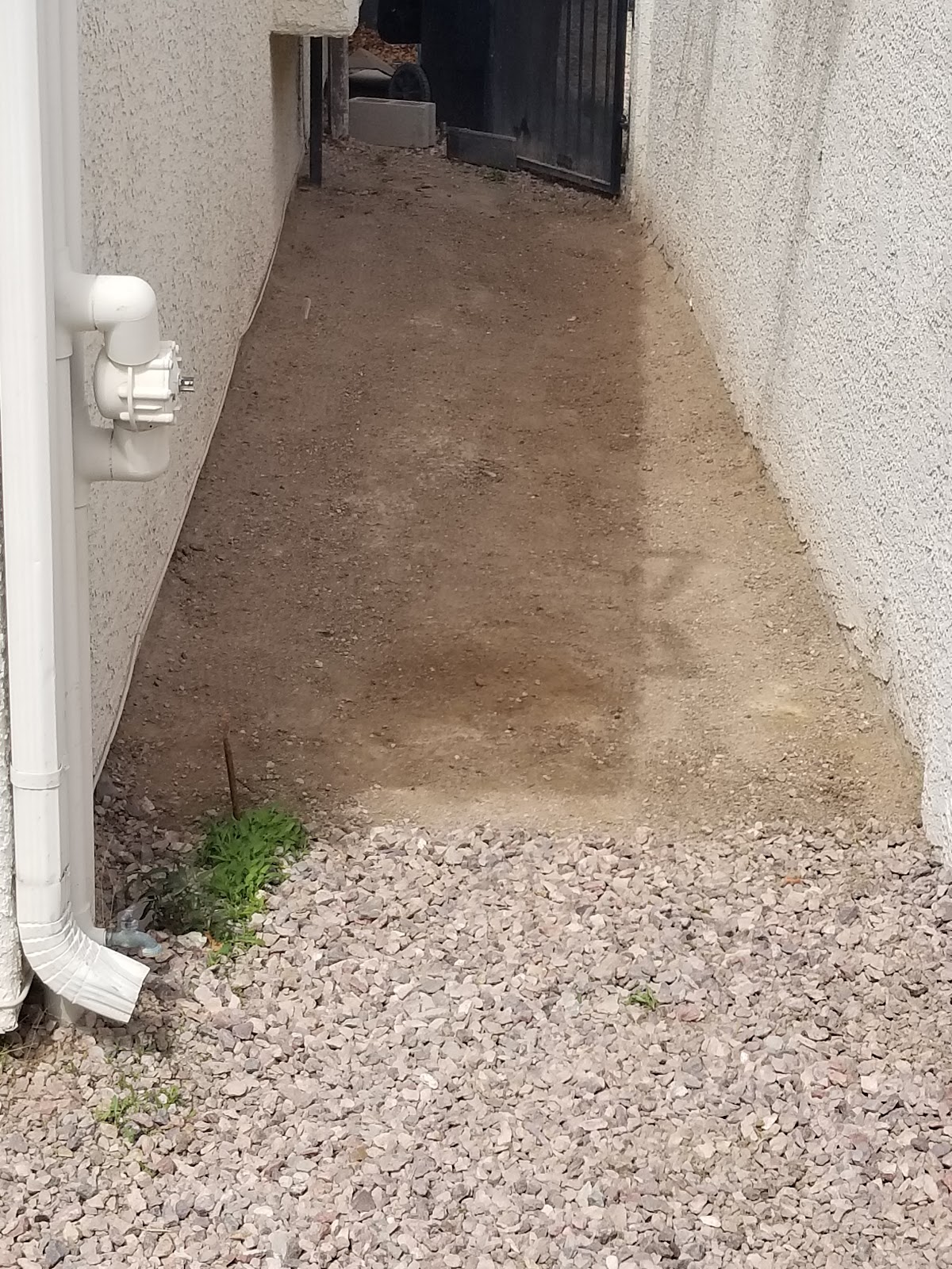 Skip's Puppy Poo Poo Pick-up Service