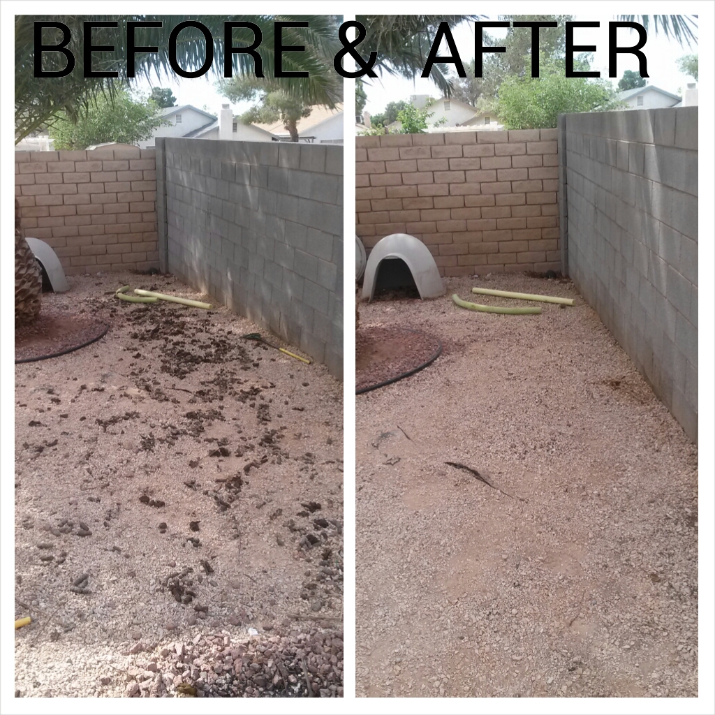 Skip's Puppy Poo Poo Pick-up Service - Photo 3