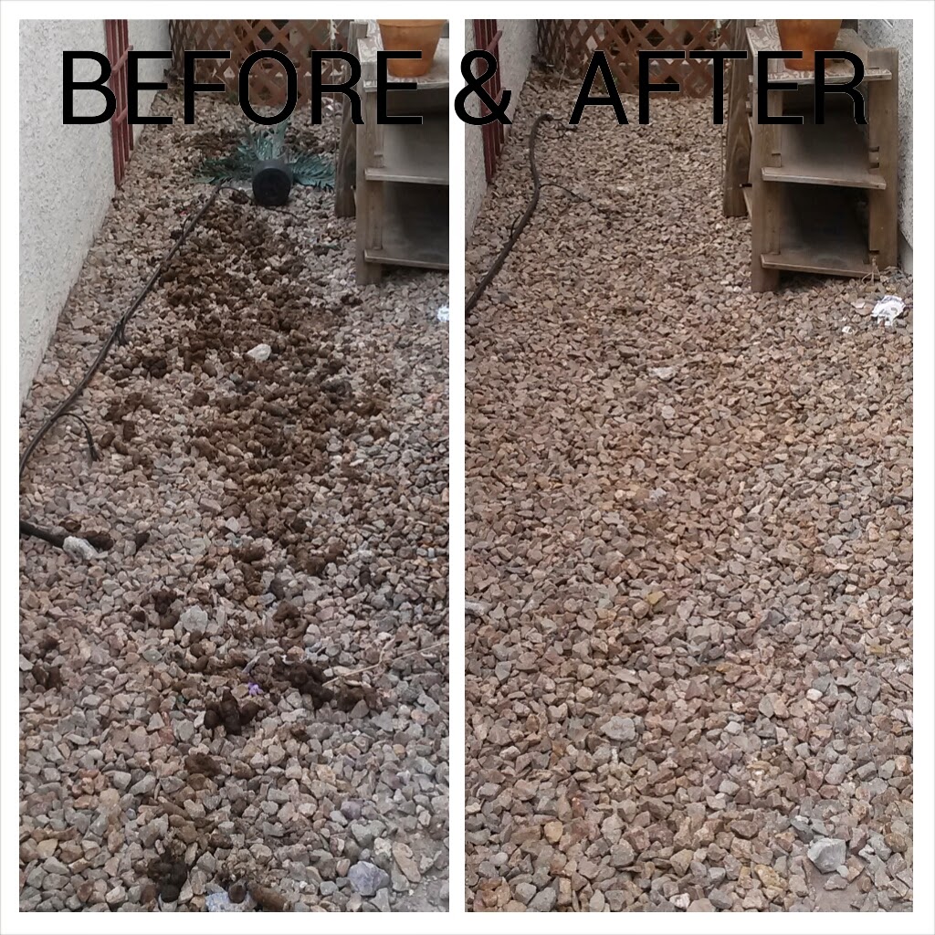 Skip's Puppy Poo Poo Pick-up Service - Photo 4