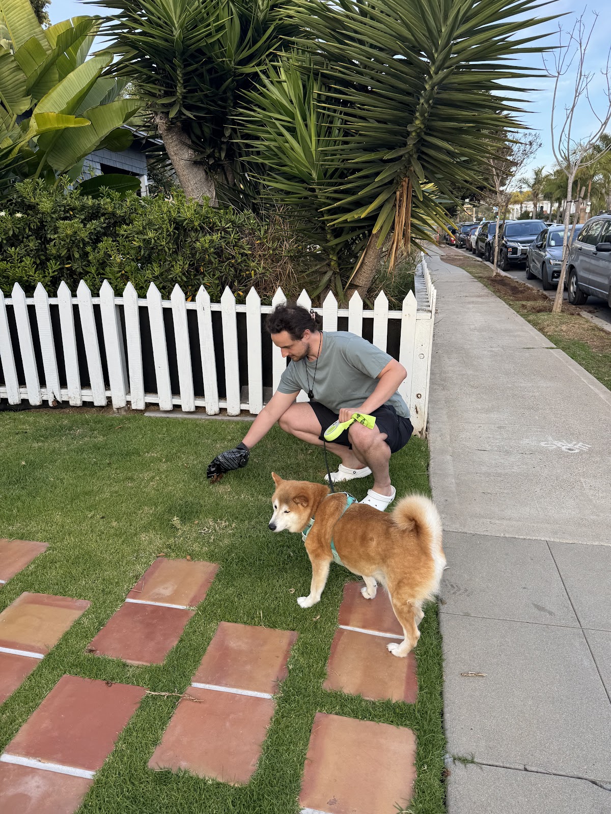 PetScooping - Photo 2