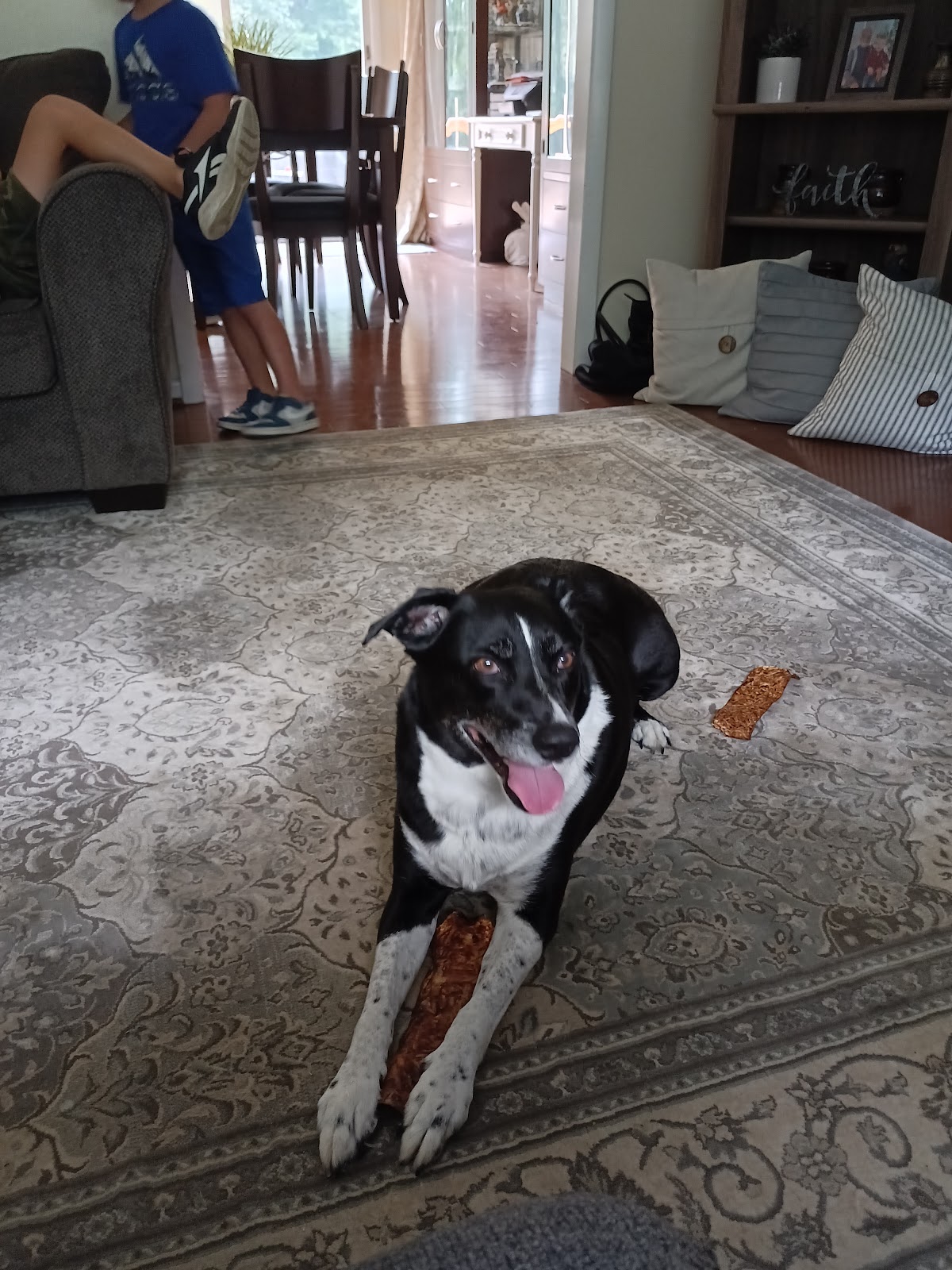 DoodyCalls® of Baltimore-Harford - Photo 4