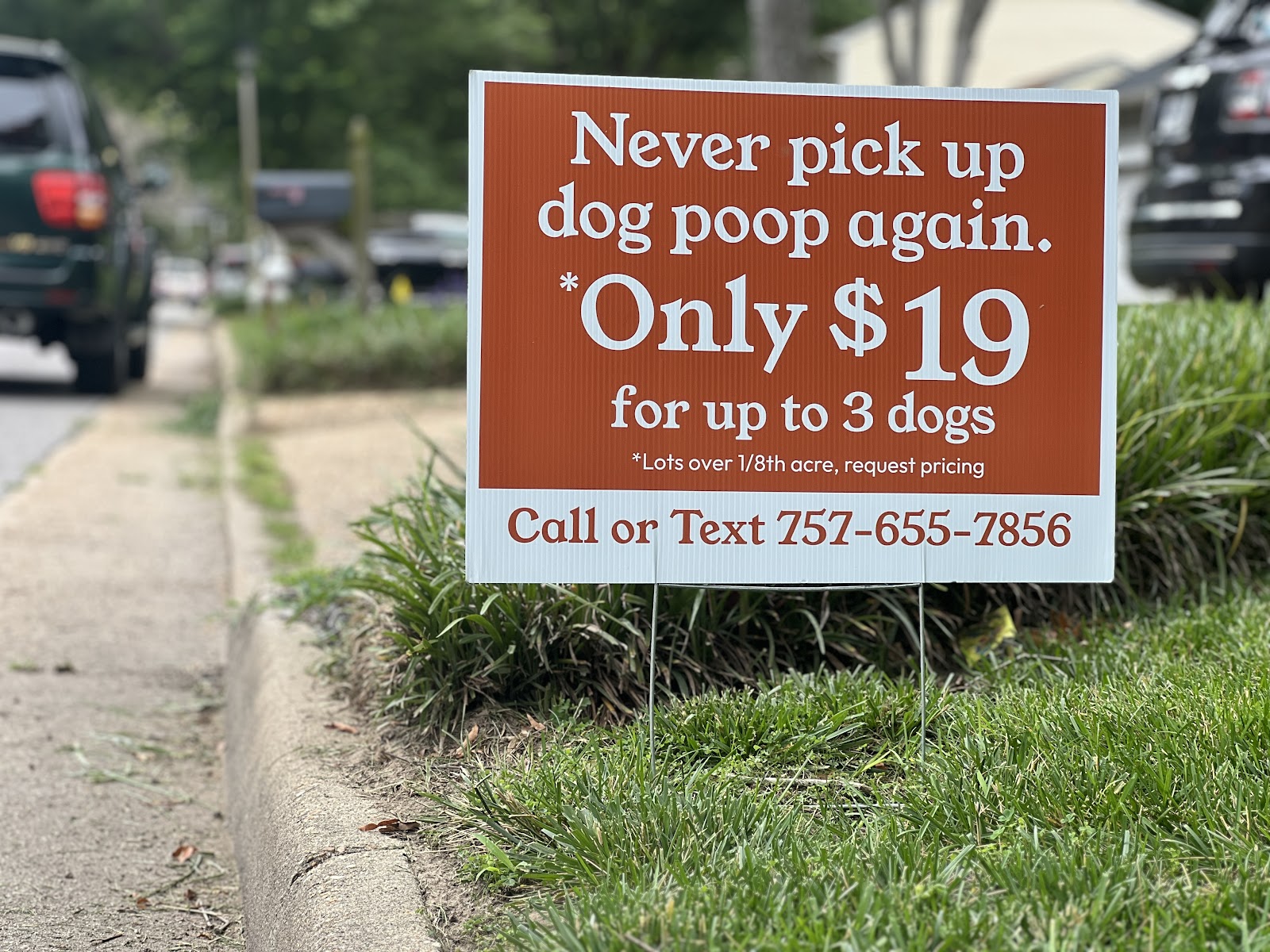 Find & Scoop Dog Waste Cleanup - Photo 3