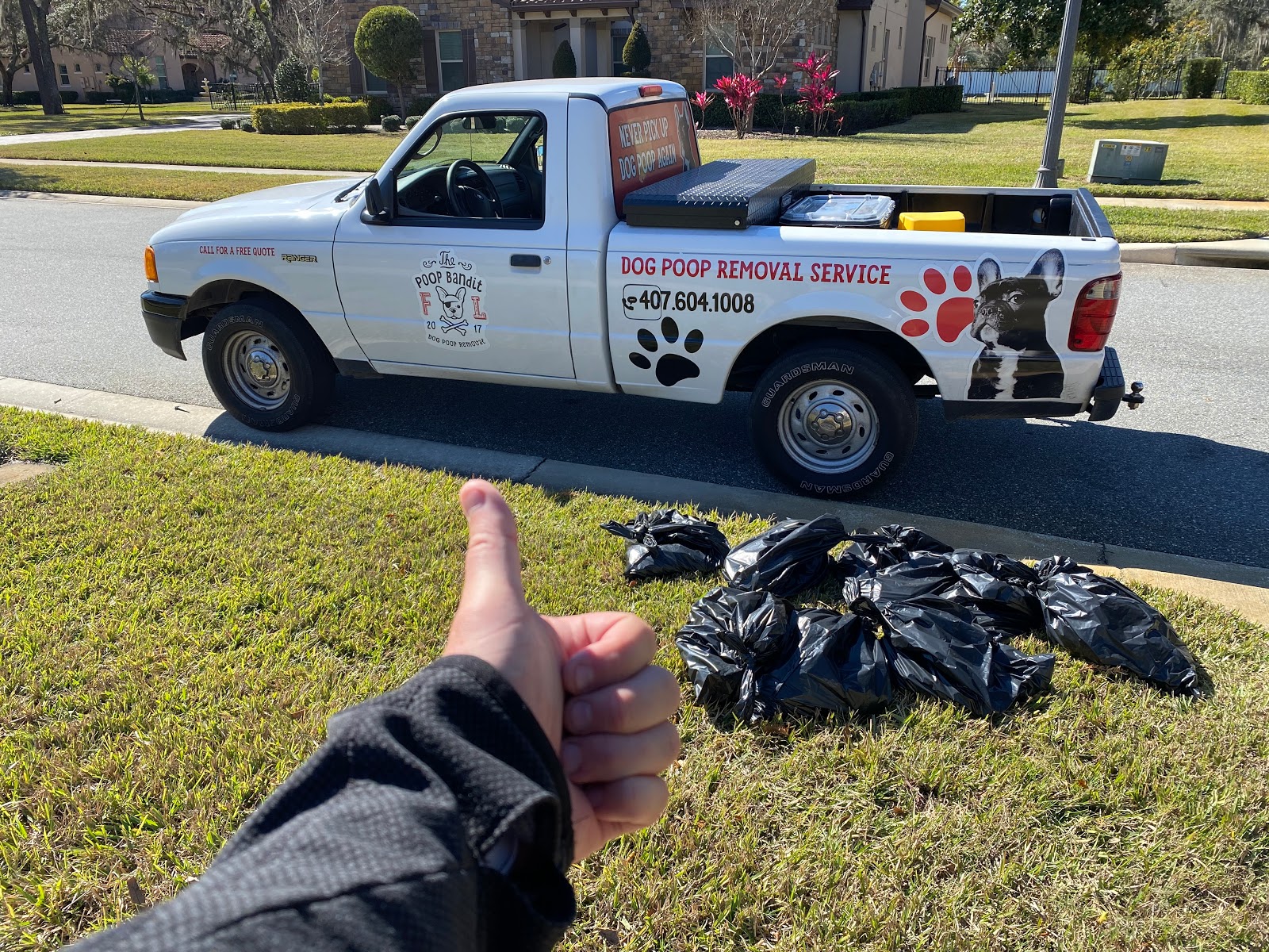 Poop Bandit - Dog Pooper Scooper Pickup - Photo 4