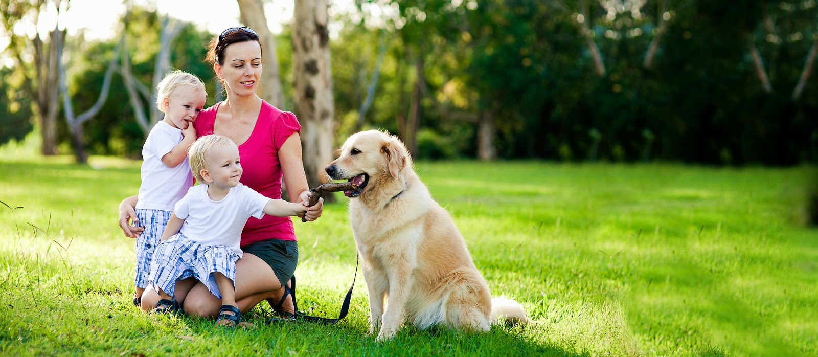 Poo SUX Dog Waste Removal