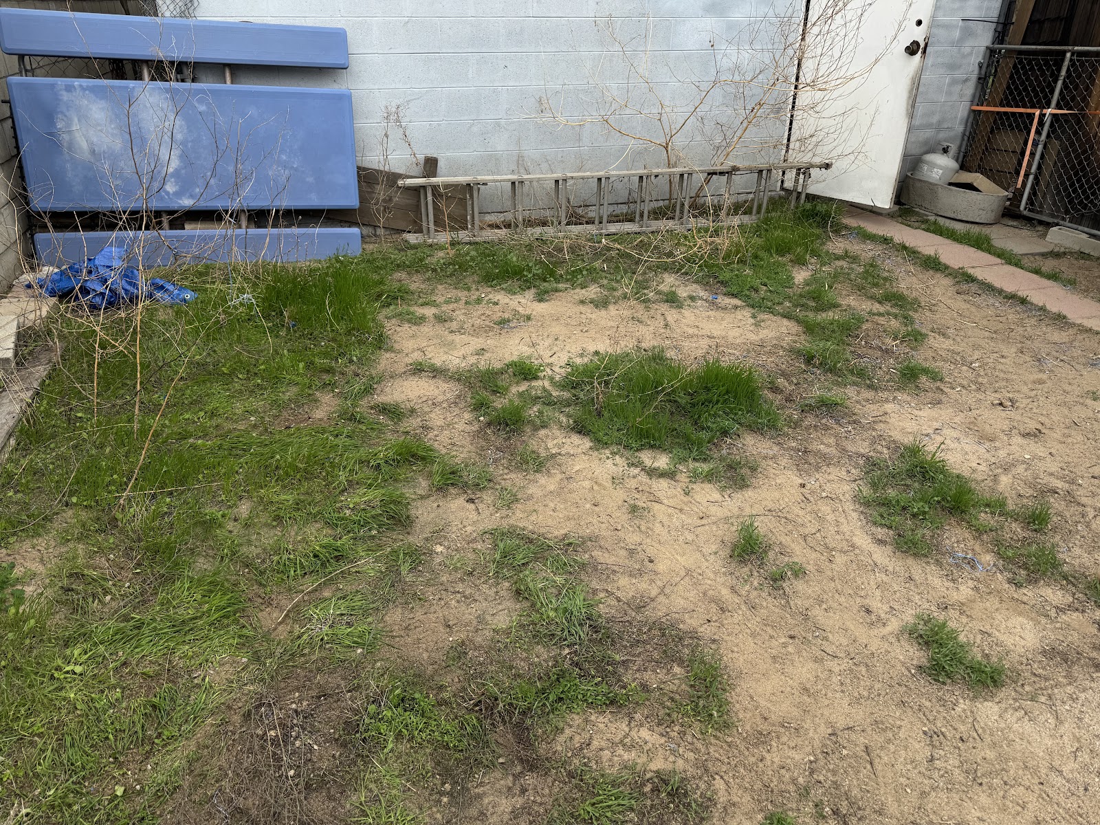 DooGoodScoopers - Photo 3