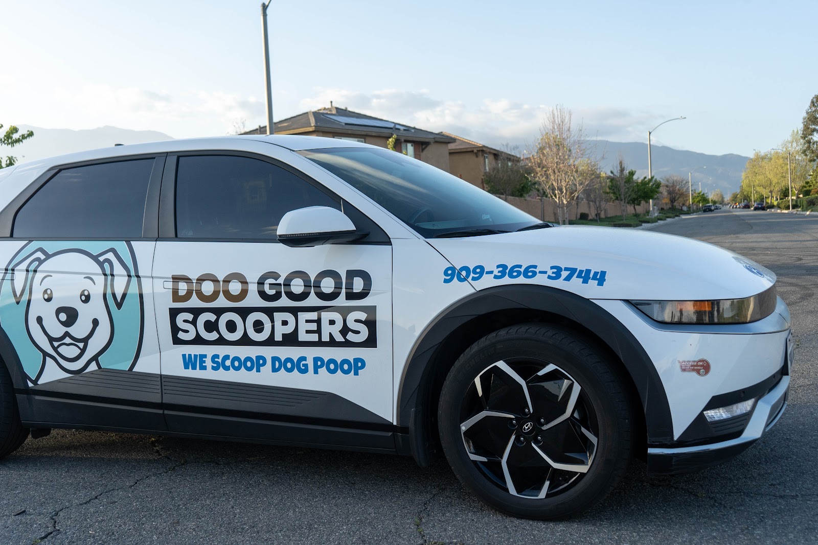 DooGoodScoopers - Photo 4