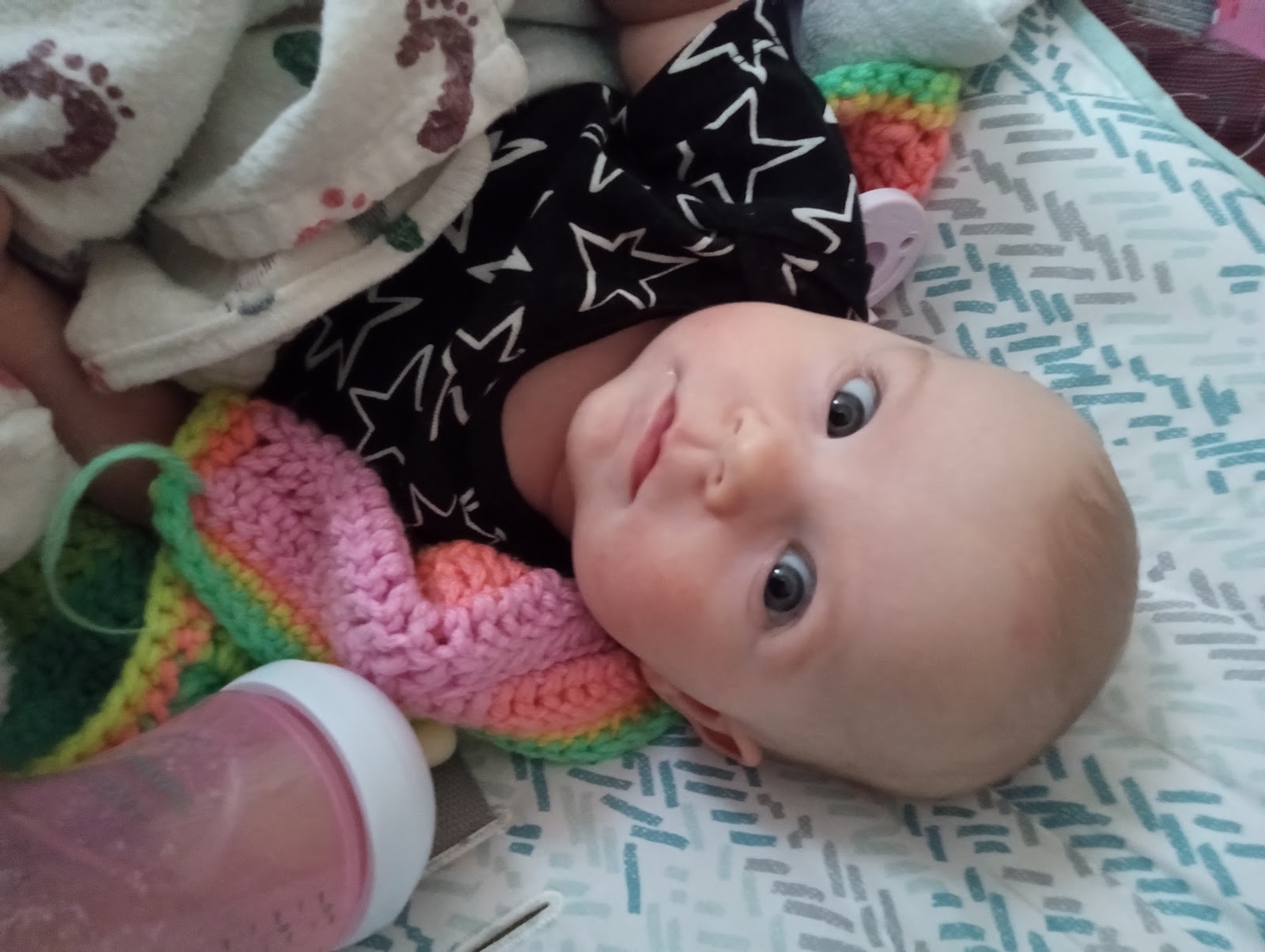 Terds Poop Removal - Photo 2