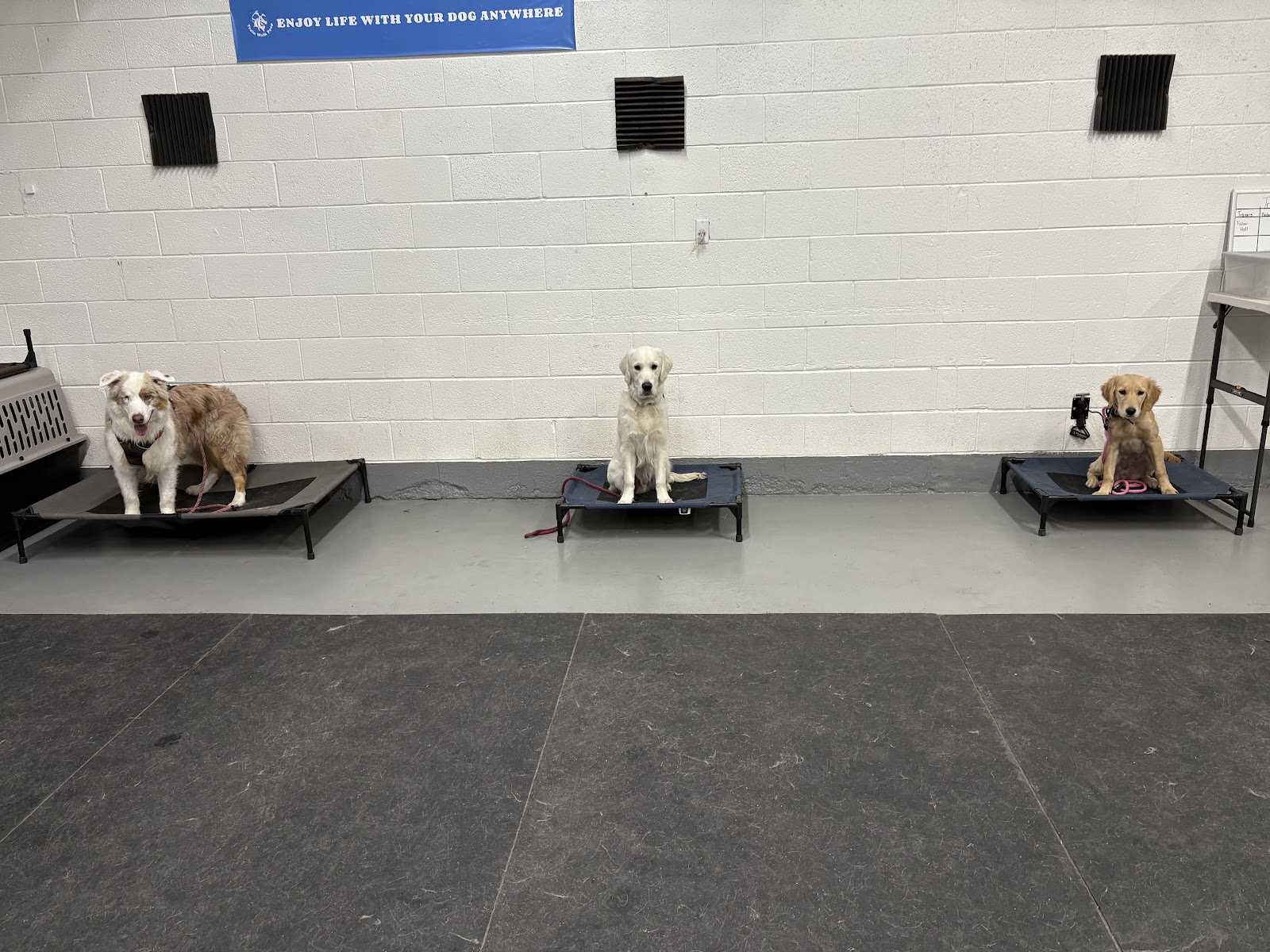 Train Walk Poop - Photo 3