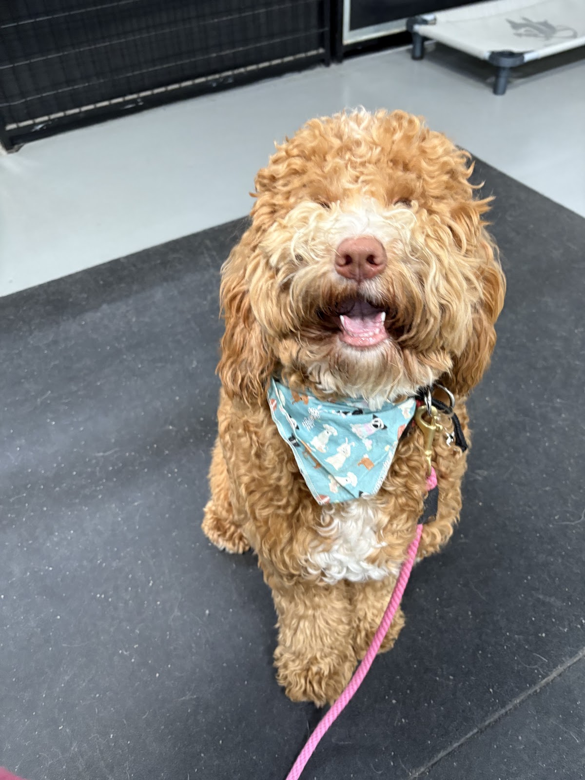 Train Walk Poop - Photo 4