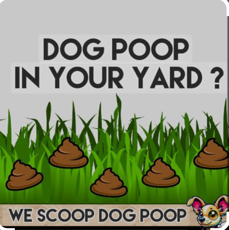 Doggy doo disposal - Photo 2