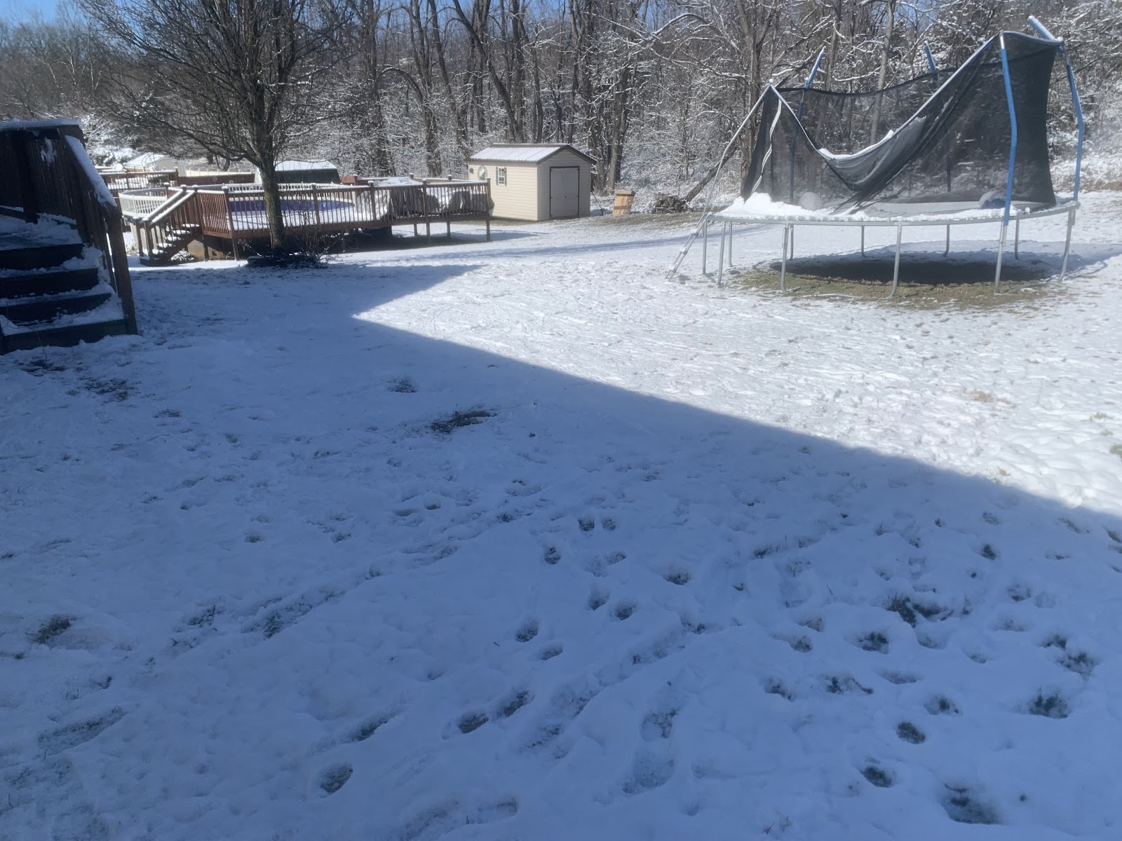 Poo Doo Squad - Photo 3