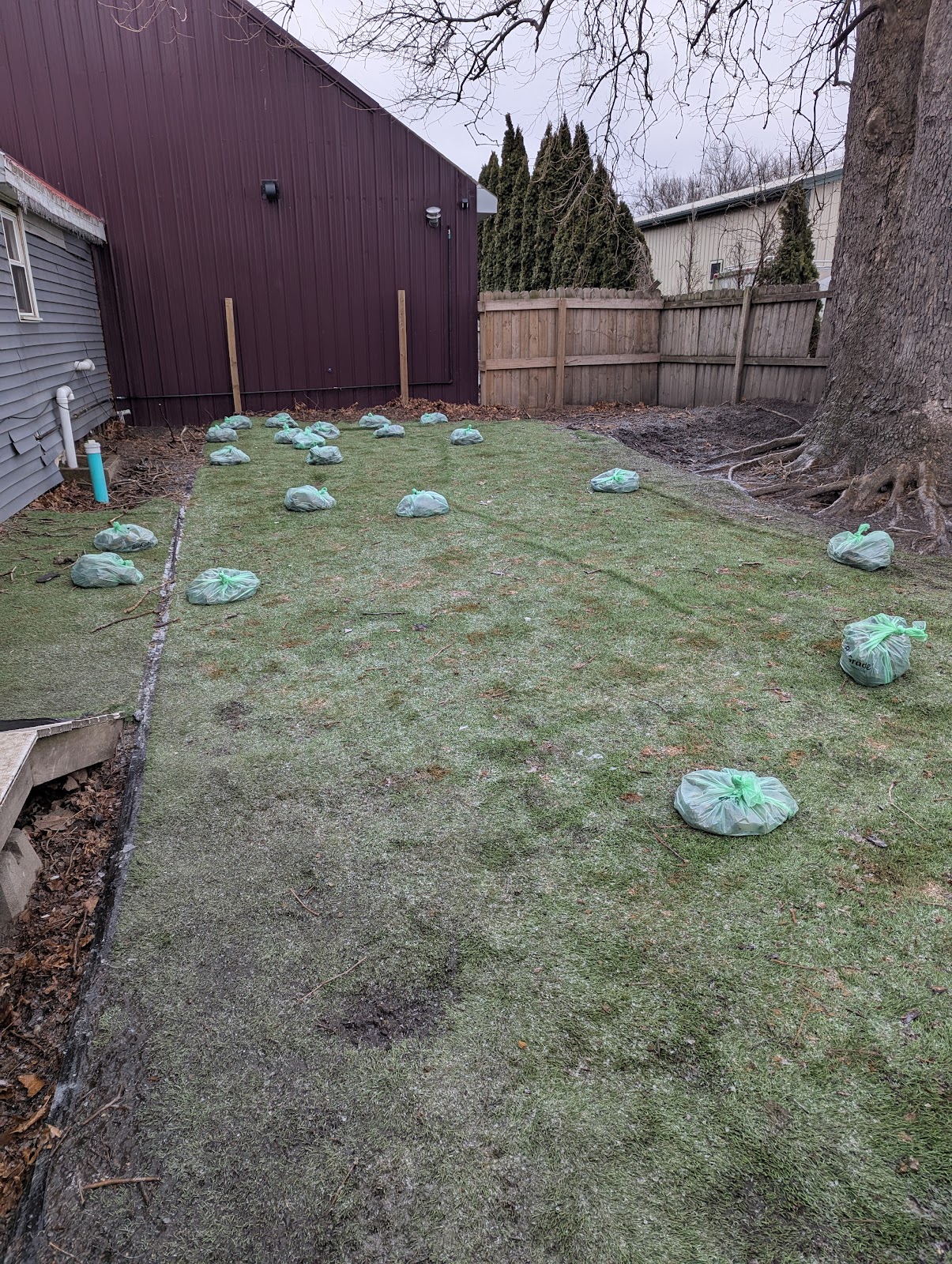 Rake and Take Pet Waste Removal - Photo 2