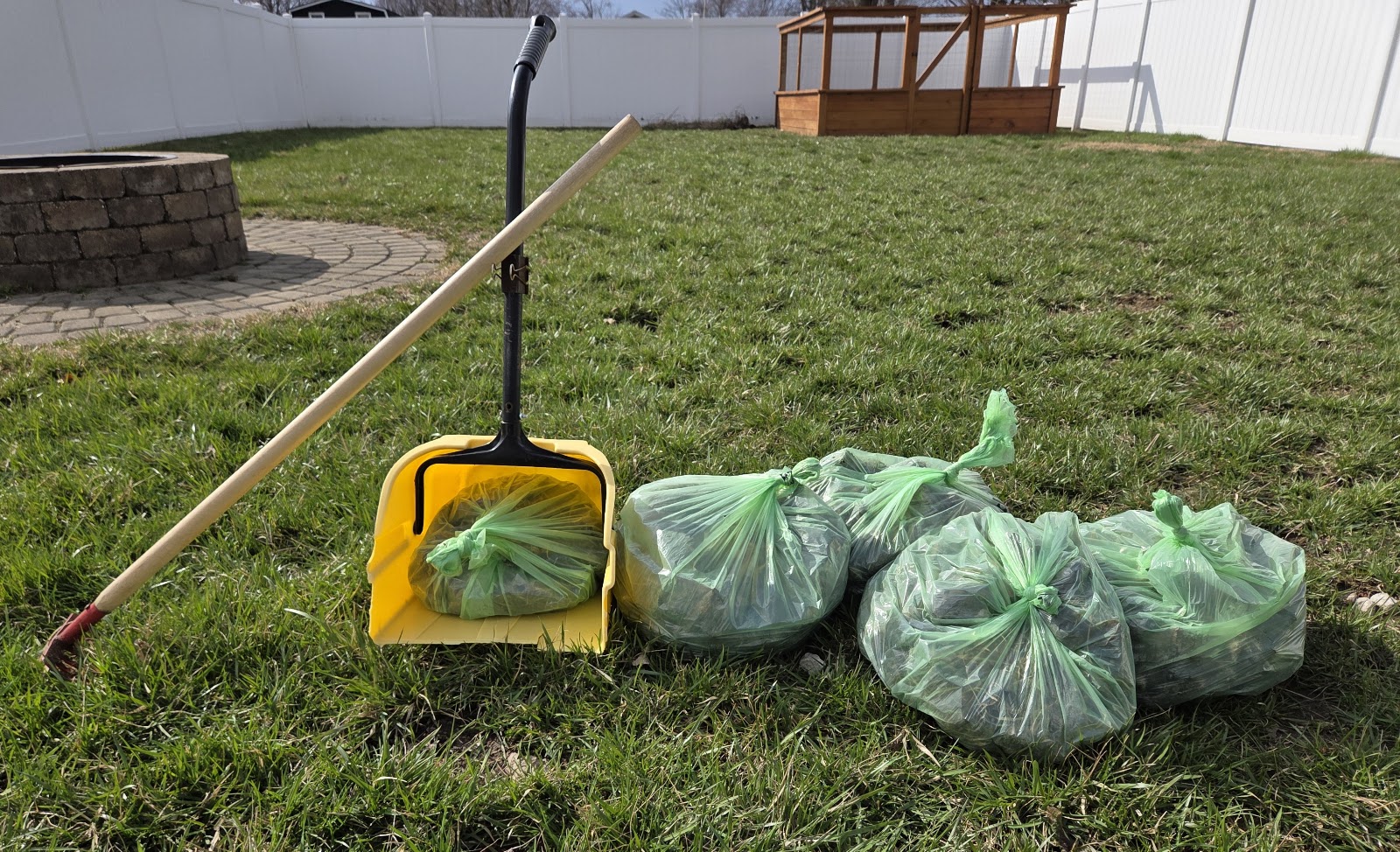 Rake and Take Pet Waste Removal - Photo 3