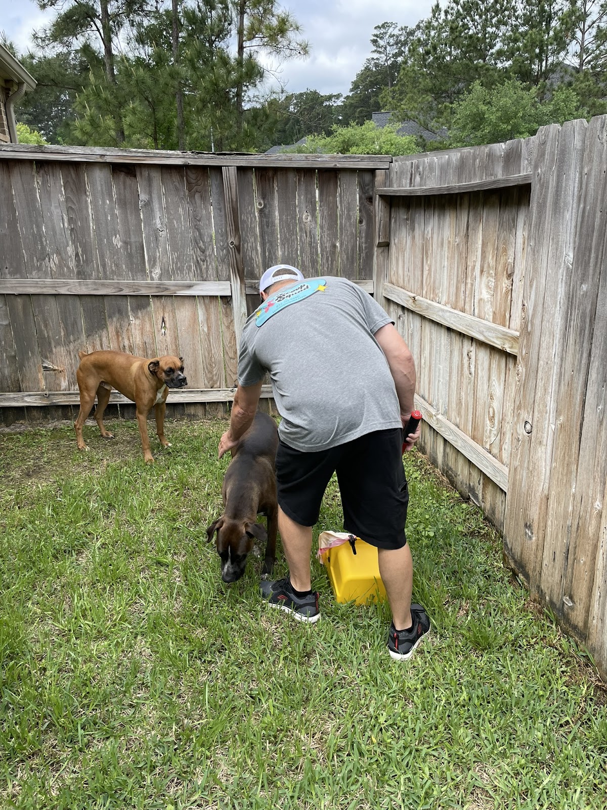 Scoop Squad - Photo 4