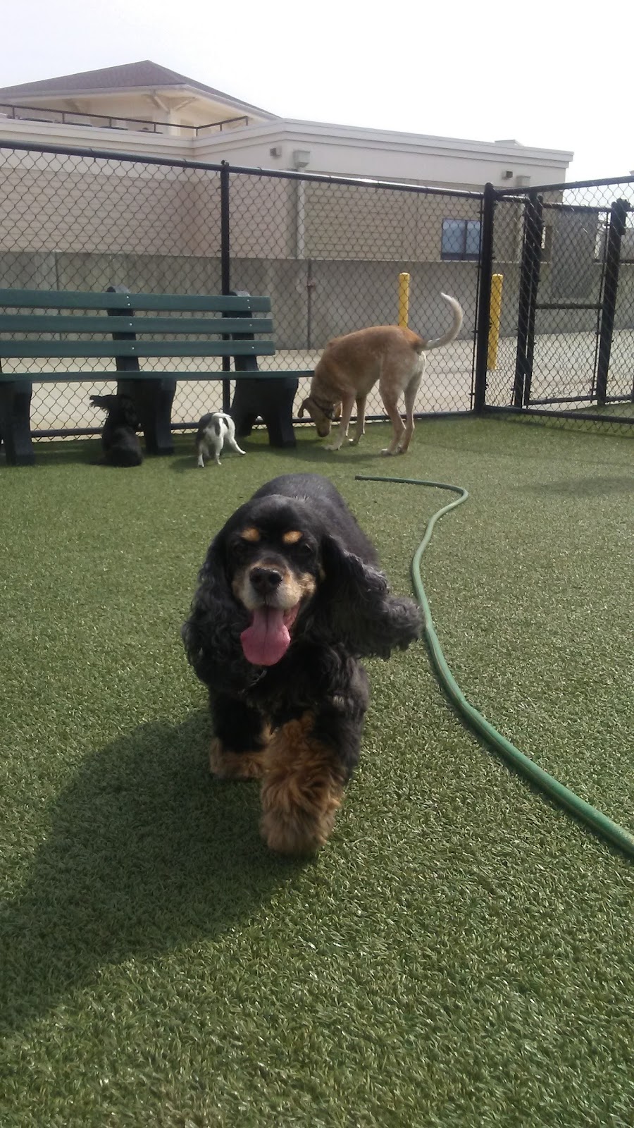 Potty Animals of Atlanta, LLC - Photo 3