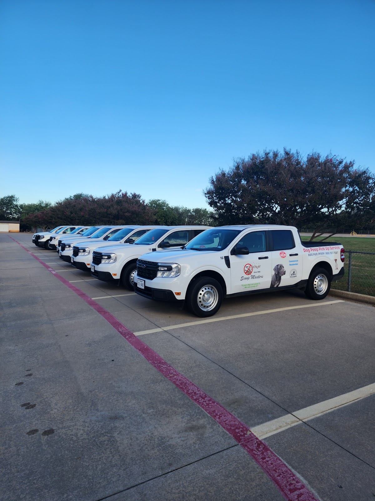 Scoop Masters Dallas Fort Worth - Photo 2