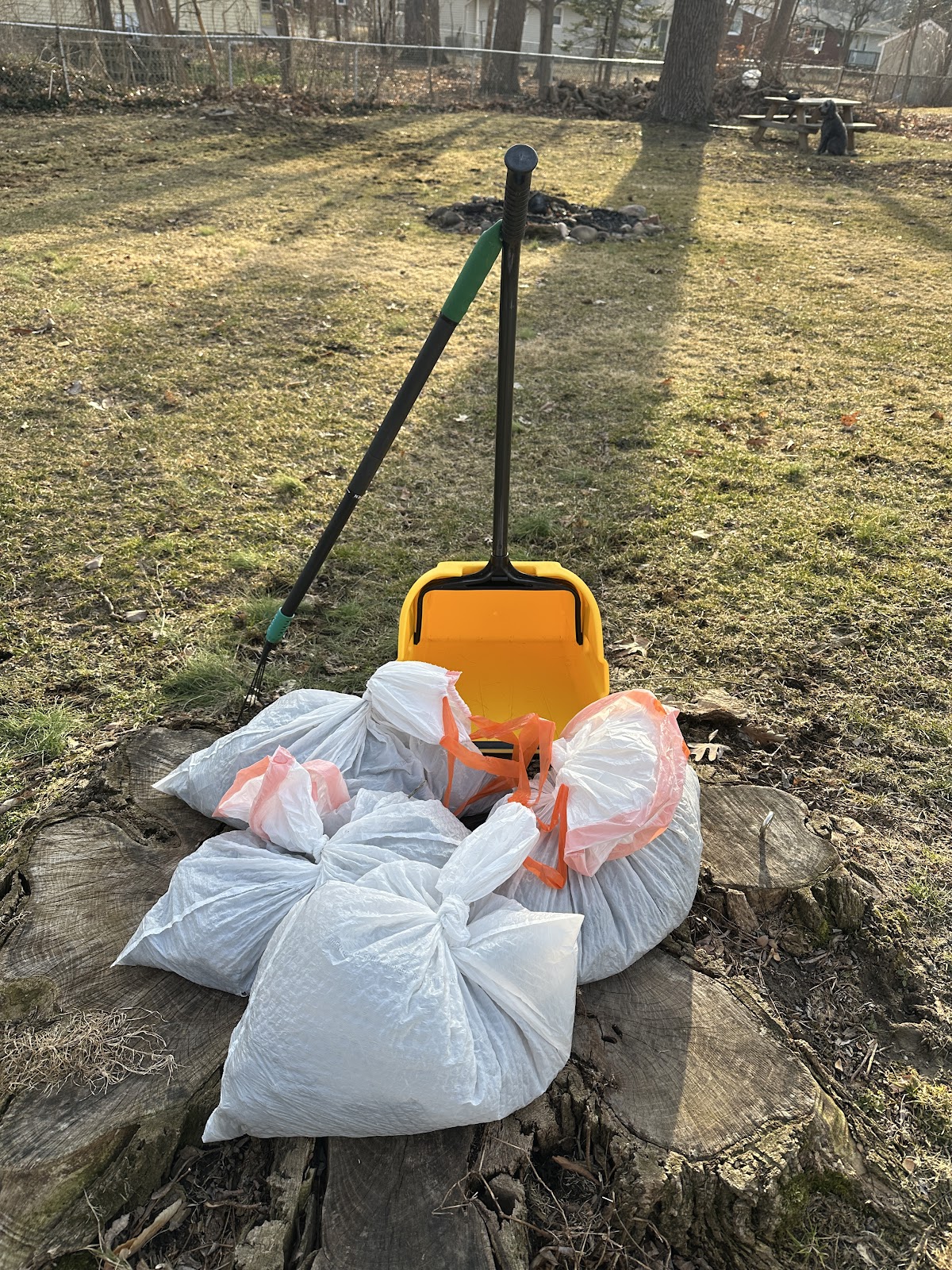 Lucky Dogs Pet Waste Service - Photo 4