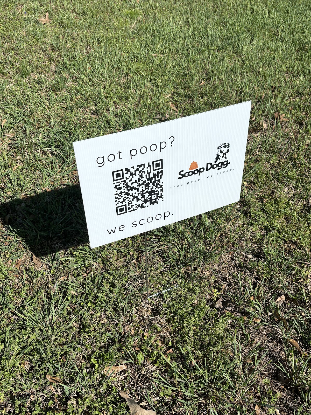 Scoop Dogg. - Photo 2