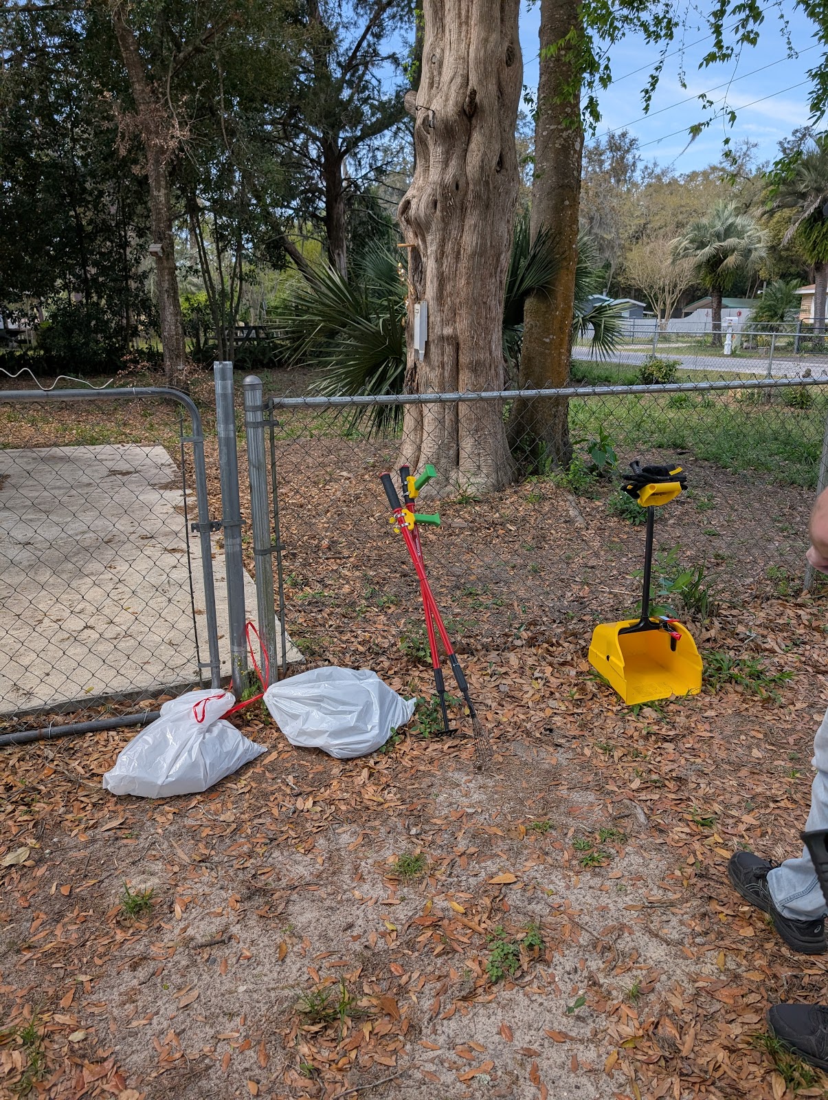 My Scoop Day - Photo 4