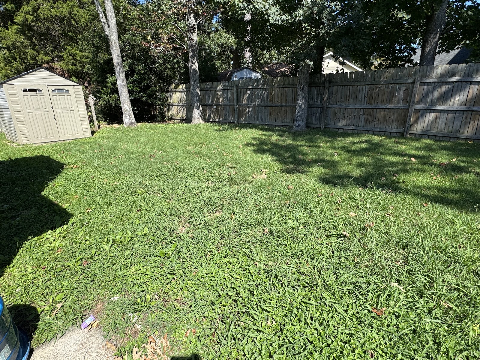 Yard Patrol - Photo 2