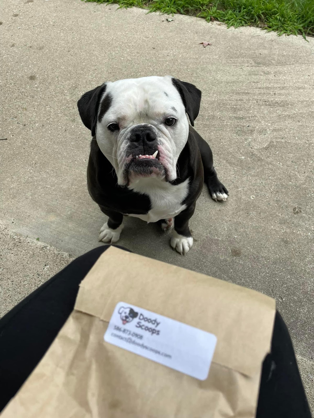 Doody Scoops - Photo 2