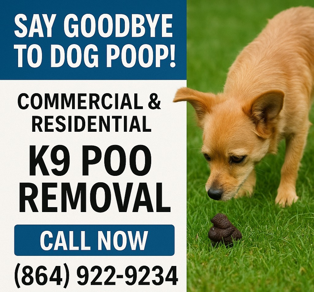 K9 Poo Removal