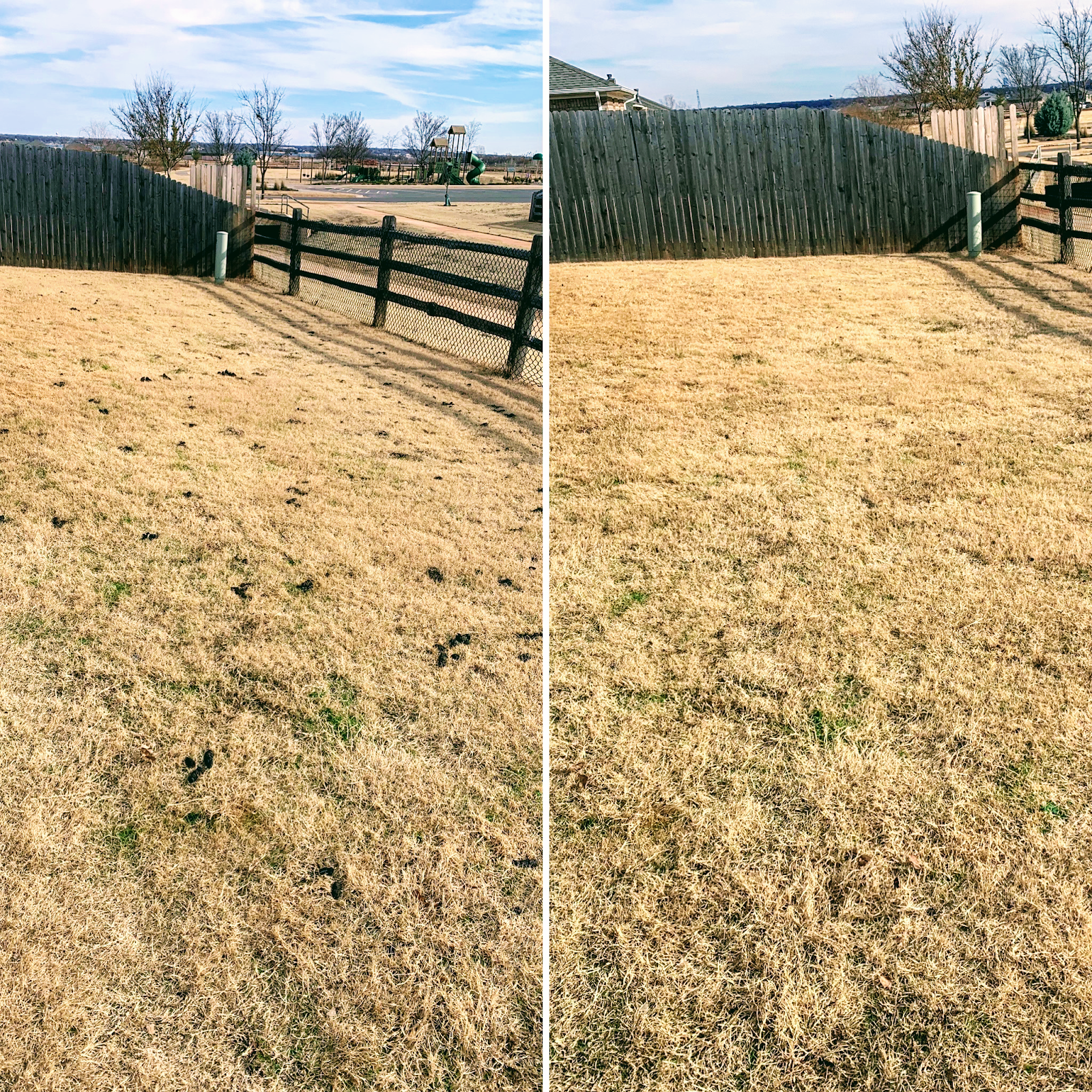 Scoop’d Pet Poop Pickup