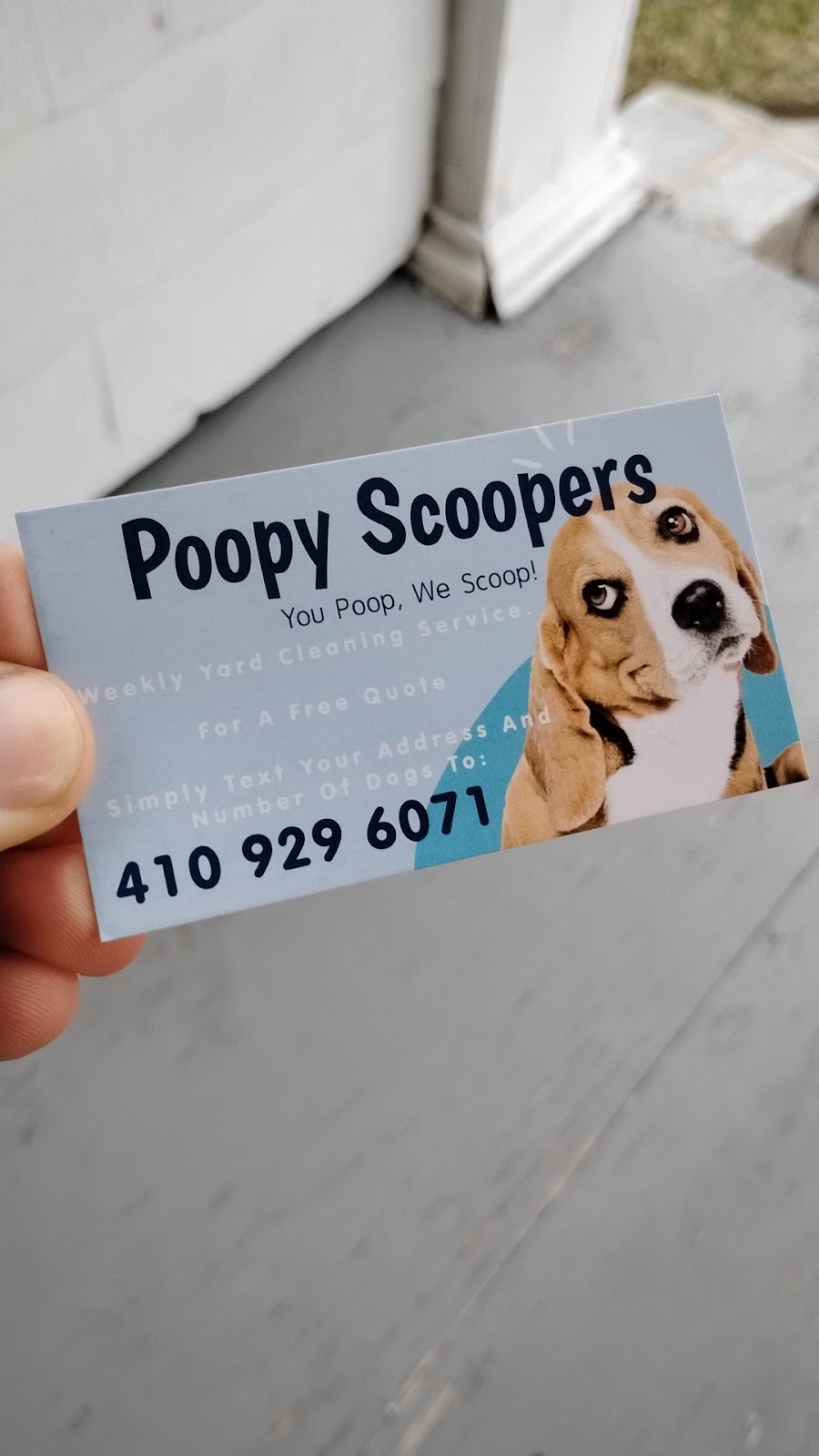 Poopy Scoopers